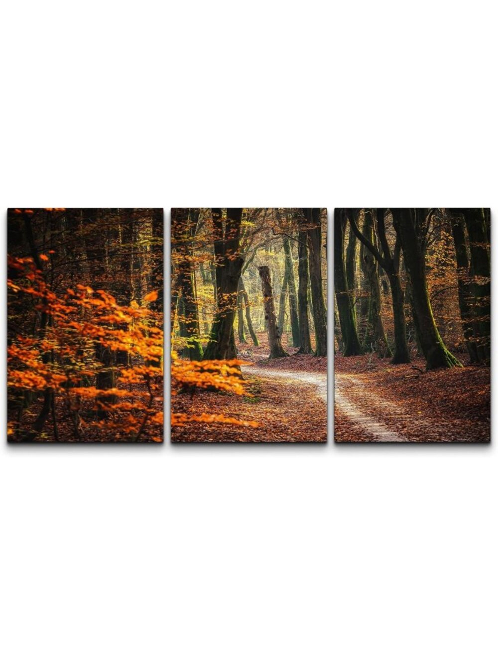 Autumn Leaf Tree Canvas Art Set - Rustic Fall Forest Photography for Home Decor